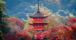 Kyoto