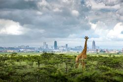 Nairobi